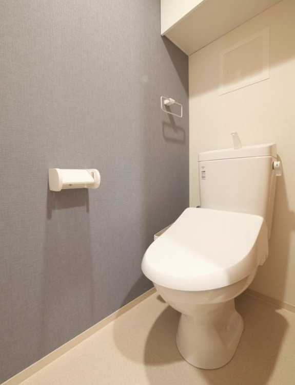 ラフィスタ二子玉川　築浅　分譲賃貸　ペット相談のトイレ