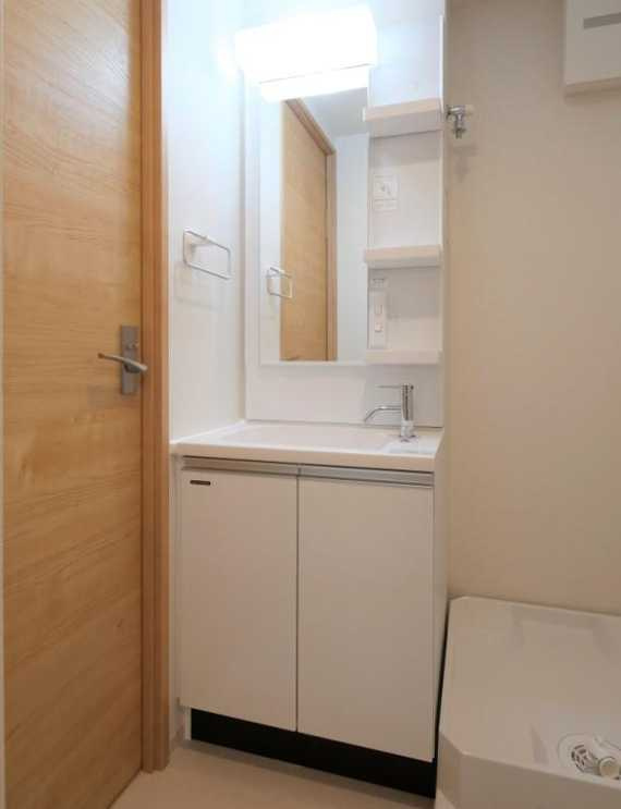 ラフィスタ二子玉川　築浅　分譲賃貸　ペット相談の洗面所