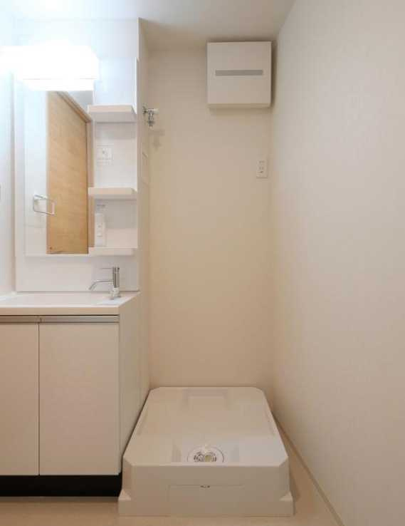 ラフィスタ二子玉川　築浅　分譲賃貸　ペット相談のその他