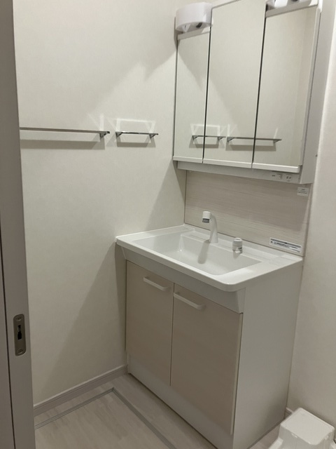 コリーナアルタの洗面所