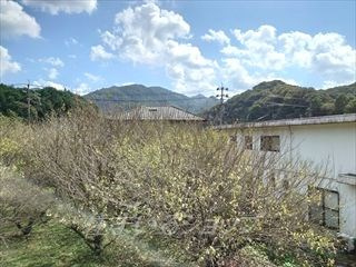 広島市安佐北区小河原町のアパートの展望|募集のお部屋（202号室）からの眺望です！