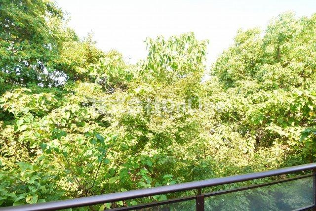 メゾン信貴の展望
