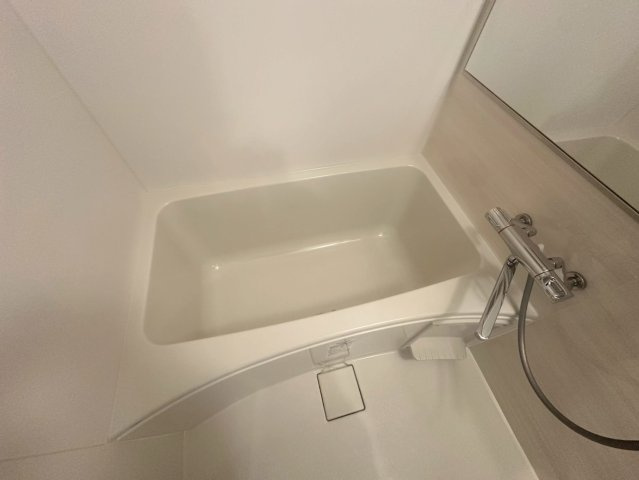 スプランディッド中之島DUEの浴室