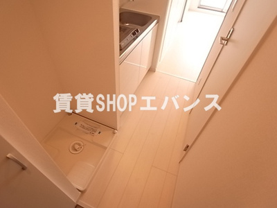  | リブリ・ラヴィータ