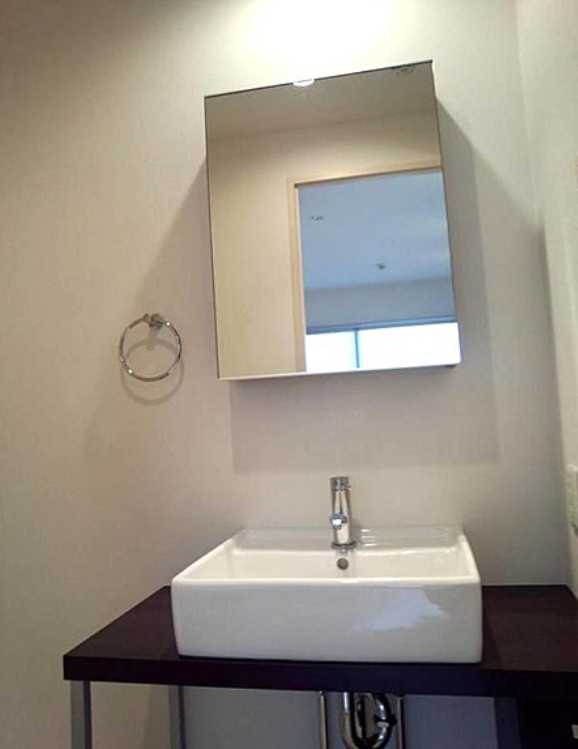 コージーコート学芸大学　トランクルーム　角部屋　ペット相談の洗面所