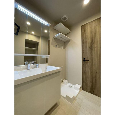 【洗面所】 | DeLCCS亀戸Ⅱ | 洗面台