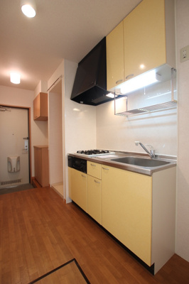 自炊派にオススメのシステムキッチン