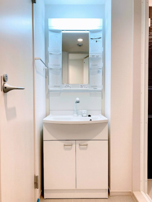 リブリ・MORE 1stの洗面所