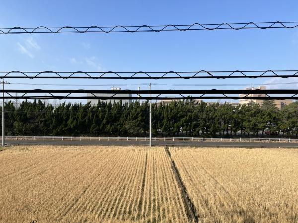 須山ビルの展望