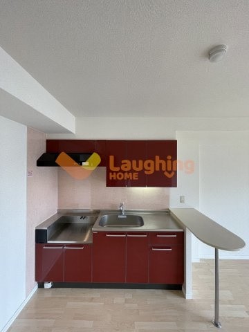 ステラSTIIのその他