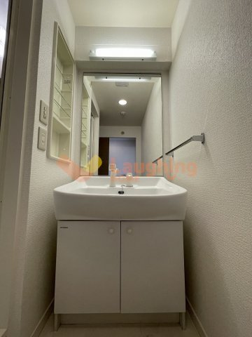 ステラSTIIの洗面所|ゆったりとスペースのある洗面所