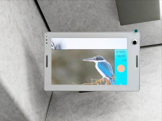 バーチェのその他