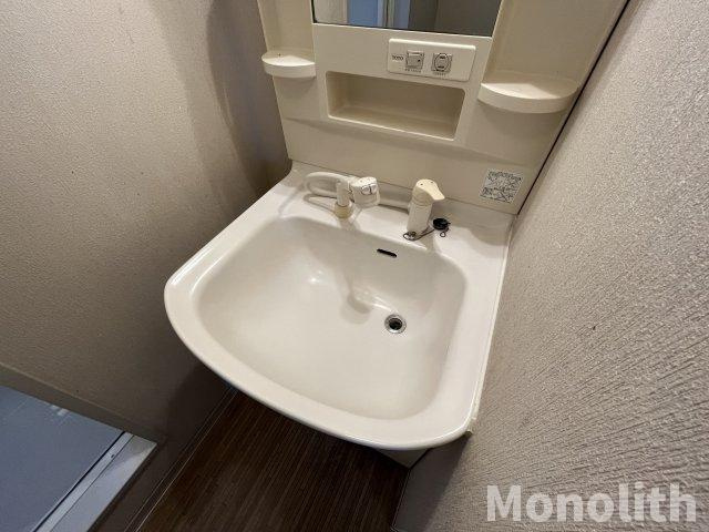 サニーコート半田の洗面所