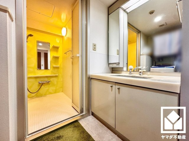 グランデュール鴨川テルス３番館の洗面所