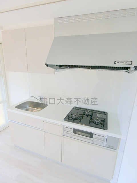 レジデンス新蒲田スクエアの洋室