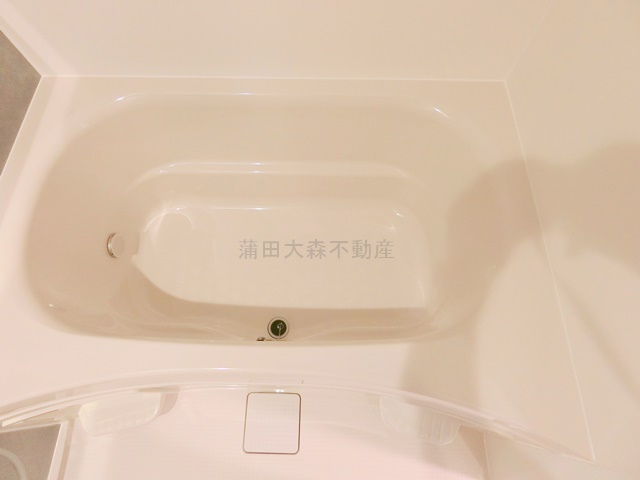 レジデンス新蒲田スクエアの洋室