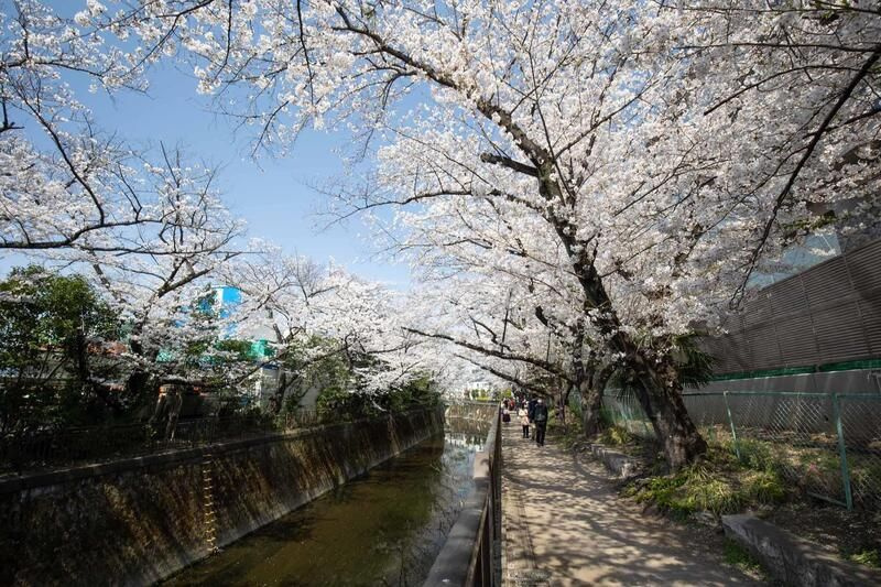 アビティグランデ砧　（Ｃ棟）のその他