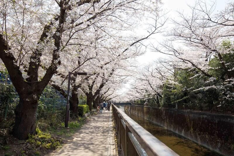 アビティグランデ砧　（Ｃ棟）のエントランス