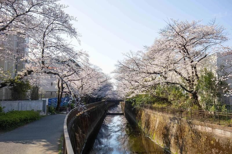 アビティグランデ砧　（Ｃ棟）のその他