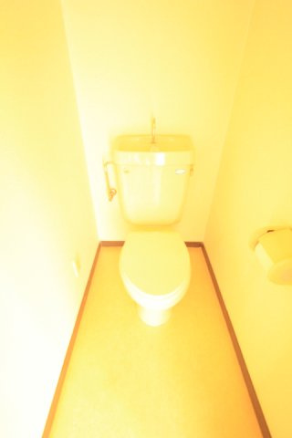 サン・ケイ長谷川のトイレ