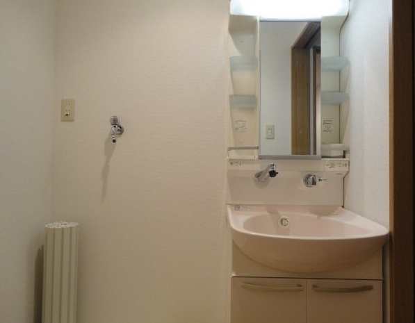 ソレールヤマグチの洗面所