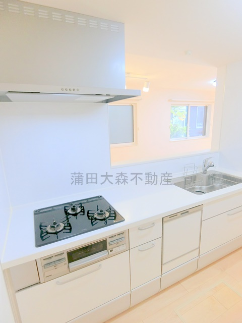 山王2丁目戸建のキッチン|3口ガスグリルと食洗器付きのカウンターキッチン　