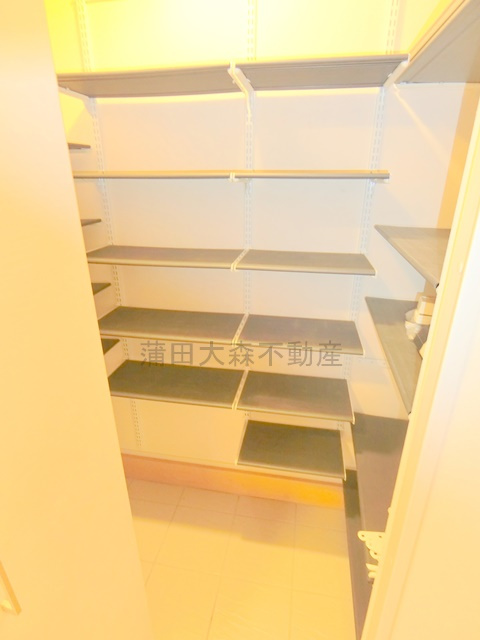 山王2丁目戸建の収納|玄関収納　シューズインクローゼット