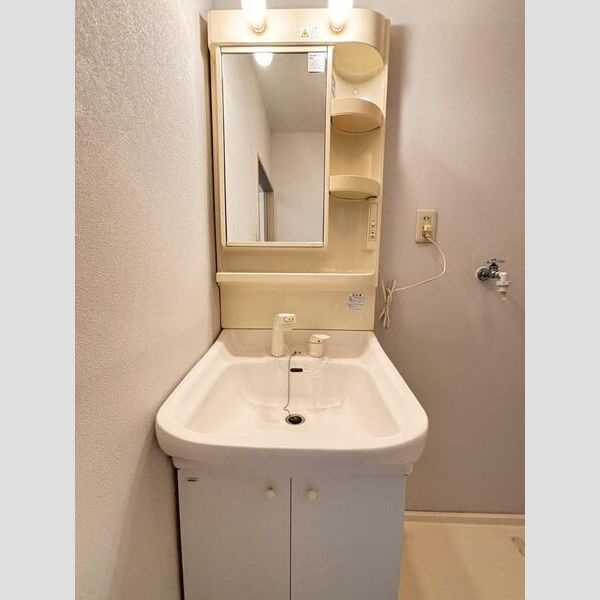 メゾンシャトリエの洗面所