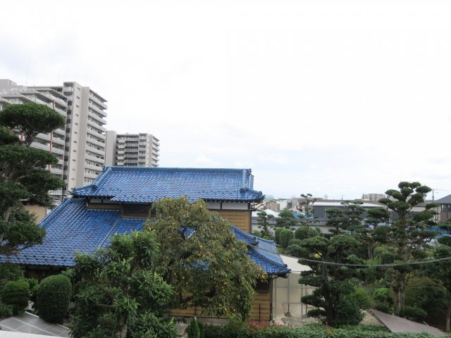 サンライズコードの展望