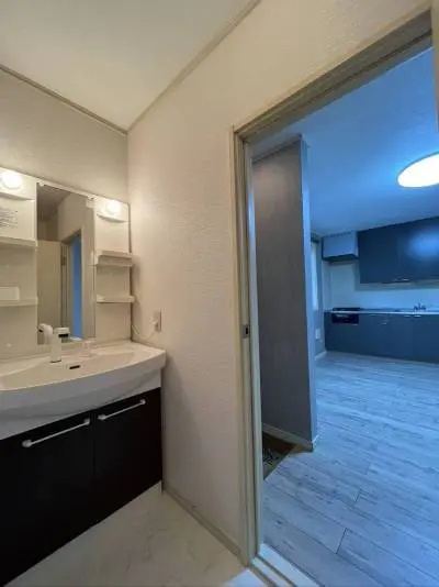 クリオコート西府II B棟の洗面所