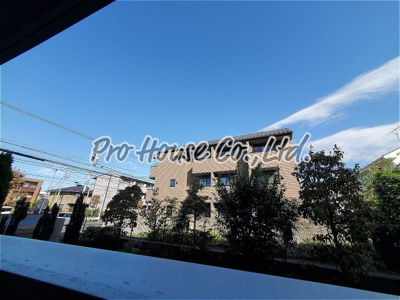 【展望】 | 花水木