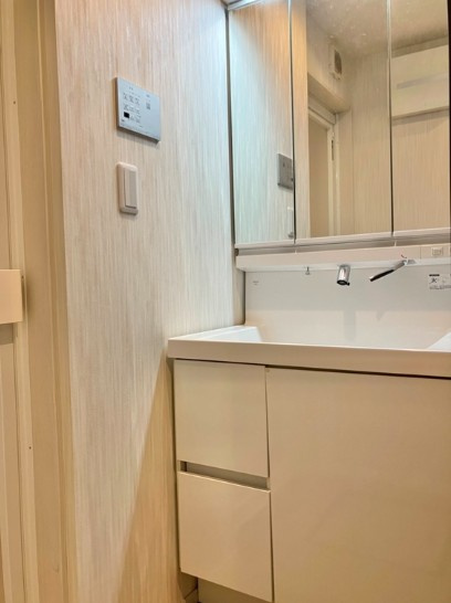 雑司が谷戸建の洗面所