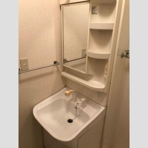 RoseCourt笹ヶ根の洗面所