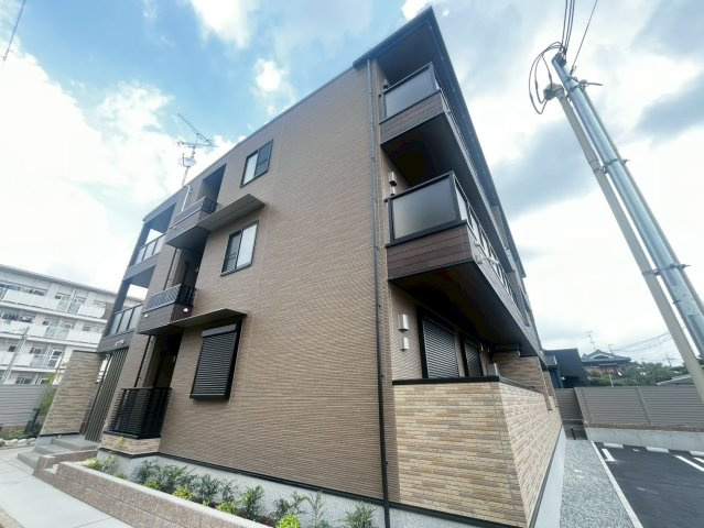 Ｍ．ｂｏｎｉｔｏ