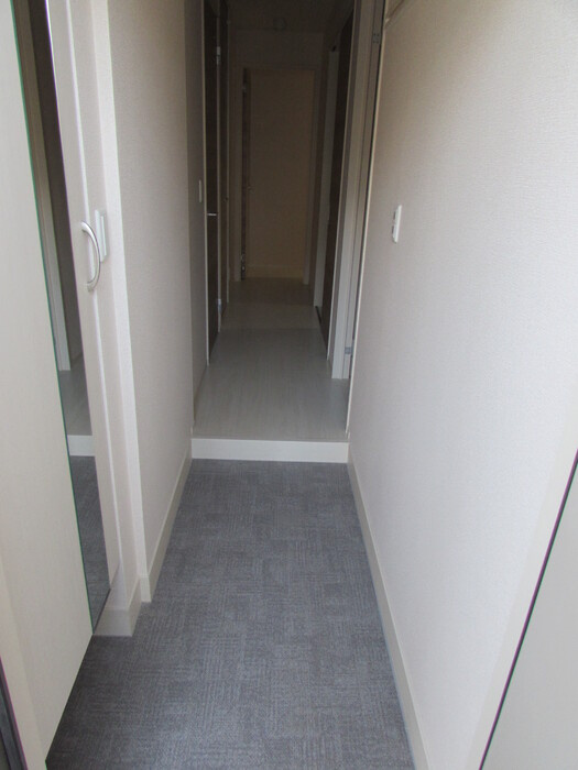 Ruines MaisonⅠの玄関