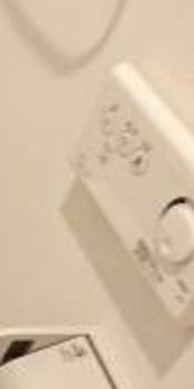 ＬＡＮＡＩ　Ｔ　ＧＡＲＤＥＮのその他