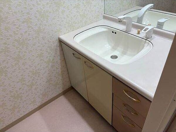 サーパス平成の独立洗面台