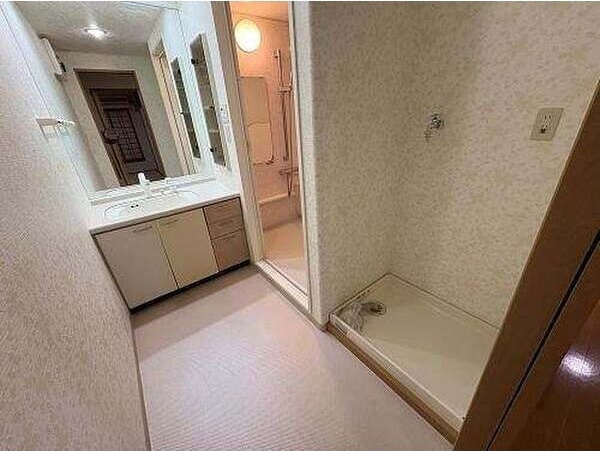 サーパス平成の洗面所