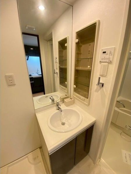 Lasante京橋の洗面所