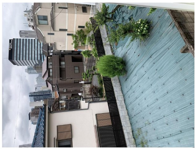 シエスタミントの展望
