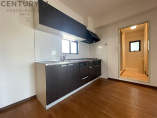 PlanDole YUNEのその他