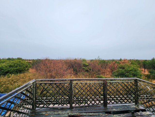 【その他】の画像