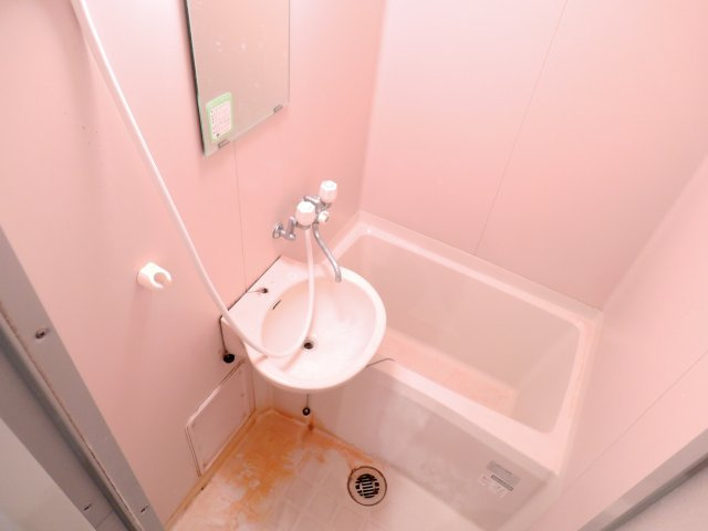 ミレニアム北園の浴室