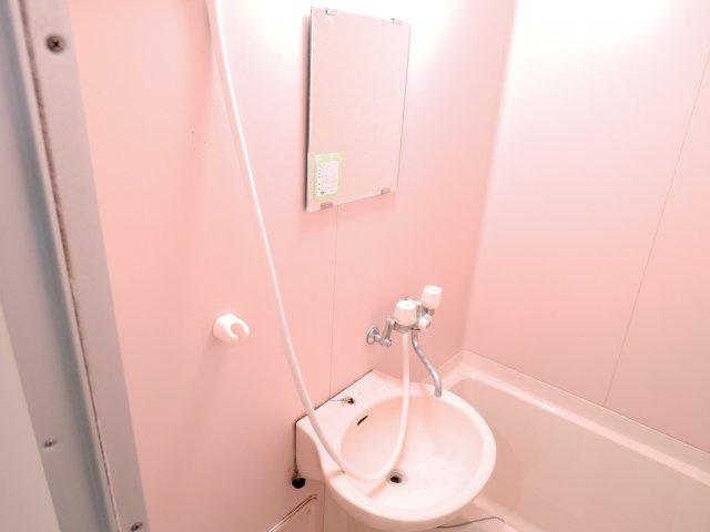 ミレニアム北園の洗面所