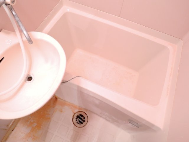 ミレニアム北園の浴室