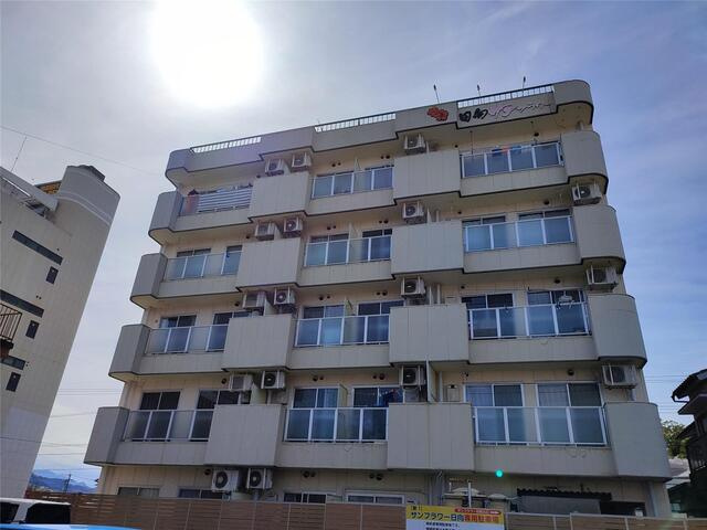 サンフラワー日向