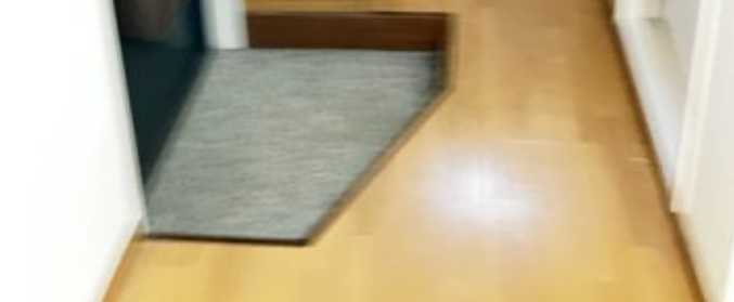 メゾンセイワ　礼金０　角部屋　駅近の玄関