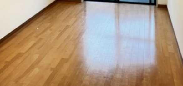 メゾンセイワ　礼金０　角部屋　駅近の内装