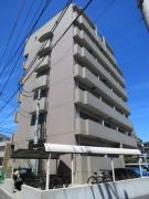 ﾌﾟﾙﾐｴﾌｧｳﾞｰﾙ