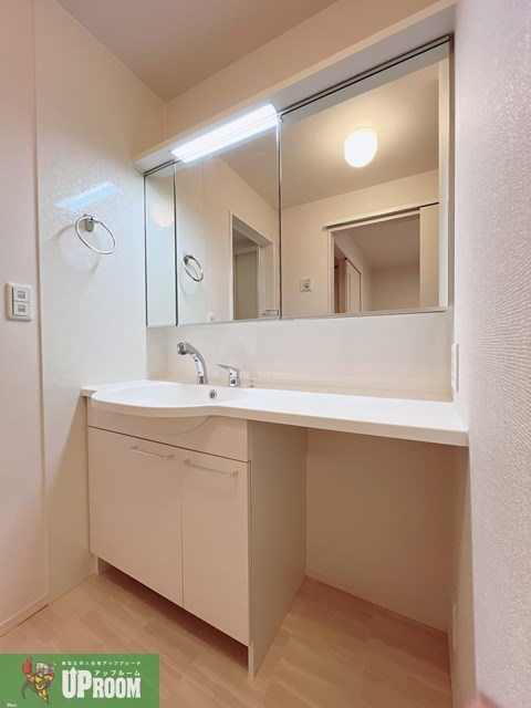 アーク野田の洗面所